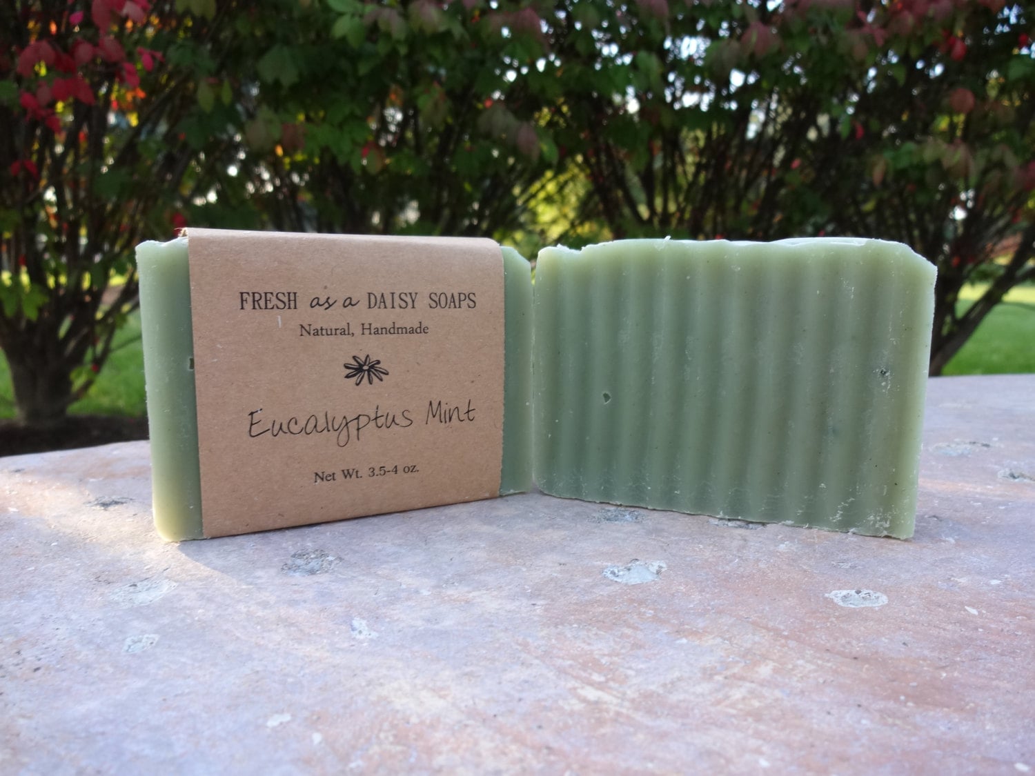 Eucalyptus Mint Natural Handmade Soap Cold Process Soap | Etsy