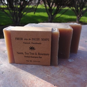 Neem Tea Tree & Rosemary Herbal Shampoo Bar, Handmade Cold Process Soap image 4