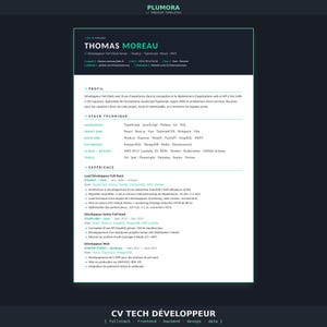 Resume Template Developer | Cv Tech Full Stack Français | Modern Dark Word Pdf | Modèle Cv Programmeur Console Mint