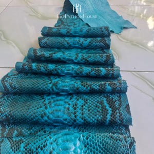 May include: A stack of folded turquoise and black python skin leather pieces. The top section is unfolded, revealing the natural scale pattern. The text GoPythonHouse is printed in white near the top center, accompanied by a logo of two letters P and H.