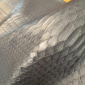 Piel de pitón auténtica, piel de reptil negra para artesanía.