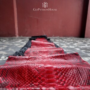 May include: A long, rectangular strip of genuine python skin featuring a vibrant red center with black scale edges. The material displays a distinct, natural reptilian scale pattern throughout its length. The text GoPythonHouse is visible above.