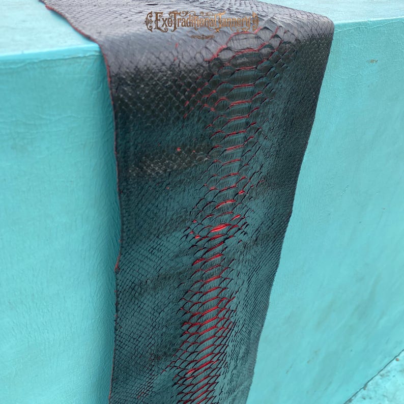Puede incluir: Una pieza larga y rectangular de cuero de piel de serpiente negra con una capa inferior roja visible entre las escamas. El texto ExoTraditionalTannery est&aacute; impreso en una fuente decorativa en la parte superior central de la piel texturizada.
