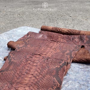 May include: A piece of reddish-brown python skin leather with a distinct scale pattern, featuring a natural texture and organic markings. The material is laid out in folds, displaying the detailed overlapping scales across the surface.