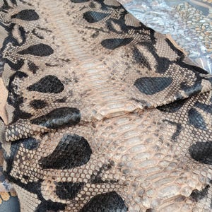 May include: A natural python skin hide featuring a distinct pattern of large, dark brown to black irregular spots against a lighter beige and tan background. The texture shows overlapping scales with a central row of wider, rectangular scales.