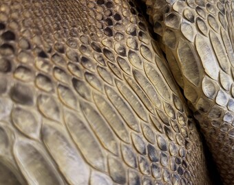 Piel de serpiente auténtica para suministros artesanales, piel de reptil color topo natural, ideal para boutiques.