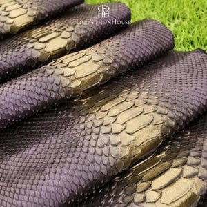 May include: A piece of python skin leather featuring a gradient of deep purple and metallic gold scales. The texture is composed of overlapping, diamond-shaped scales. The text GoPythonHouse is printed in white near the top center of the material.