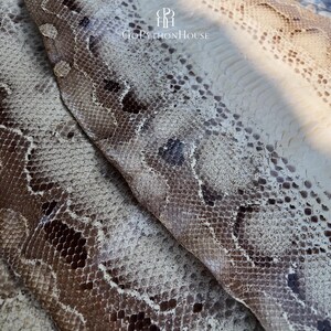 Könnte beinhalten: Ein Stück natürliche Pythonhaut mit einem strukturierten Schuppenmuster in Braun-, Creme- und Weißtönen. Die Oberfläche zeigt einen ausgeprägten organischen Reptilien-Print mit dunkelbraunen Markierungen. Der Text GoPythonHouse ist oben aufgedruckt.