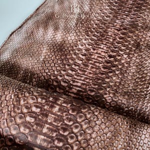 May include: A sheet of brown snakeskin leather with a distinct scale pattern and a glossy finish. The text GoPythonHouse is printed in white near the top center, accompanied by a logo featuring the letters P and H intertwined in a circle.