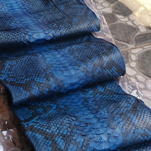 May include: A folded piece of blue and black snakeskin leather featuring a distinct scale pattern. The material is partially wrapped in clear plastic and displays the text GoPythonHouse at the top center of the image.