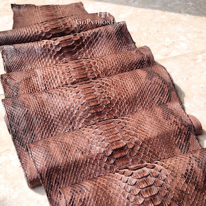 May include: A series of rolled sheets of brown python skin leather arranged in a row. The scales are distinct and textured, displaying a natural gradient of dark and light brown tones. The text "HH GOPYTHONHOUSE" is visible at the top center.