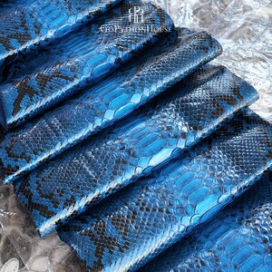 May include: A stack of vibrant blue and black snakeskin leather sheets with a glossy finish. The top sheet features the logo text "GOPYTHONHOUSE" with a stylized emblem above it. The scales are arranged in a repeating pattern across the surface.