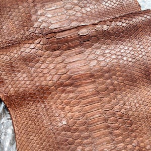 May include: A large, flat piece of brown python skin leather featuring a distinct, repeating scale pattern. The surface displays a natural texture with elongated central scales and smaller side scales. The text GUPYTHONHOUSE is printed at the top.