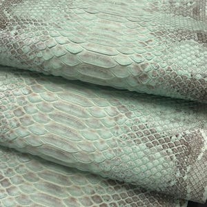 Piel de serpiente de Borneo color verde menta pálido, piel exótica auténtica para proyectos artesanales.