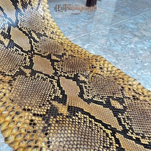 Pelle di serpente reticolata per lavori artigianali, vera pelle esotica marrone chiaro