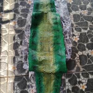 May include: A long, flat piece of genuine python skin dyed in vibrant shades of green and yellow with a natural scale pattern. The leather features a central yellow stripe fading into green edges. The text GoPythonHouse is printed at the top.