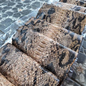 May include: A series of rectangular panels featuring a natural snakeskin pattern in shades of tan, beige, and dark brown. Each panel displays a distinct, overlapping scale texture. The text GoPythonHouse is printed in white near the top center.