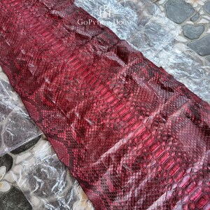 May include: A deep red python skin hide featuring a distinct, natural scale pattern with darker black accents throughout. The surface displays a glossy finish and includes the text GoPythonHouse printed in white near the top edge of the hide.