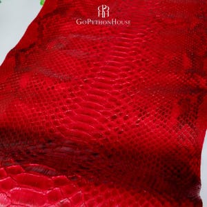 Pode incluir: Uma pele de cobra em couro vermelho vibrante com um padrão de escamas natural e distinto com acabamento brilhante. A superfície exibe o texto GoPythonHouse com um símbolo de logotipo no centro superior, destacando a textura e a cor.
