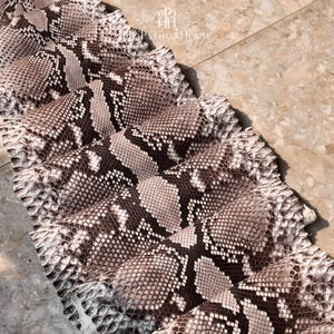 May include: A series of folded python skin sheets featuring a natural scale pattern in shades of cream, beige, and dark brown. The material displays a distinct diamond-shaped texture across the surface, with the logo PythonHouse visible at the top.