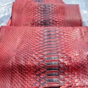 May include: A long, folded piece of red and black python skin with a textured, scaled surface. The skin features a prominent dark central stripe running down the length of the hide. The text Gopythonhouse is printed near the top edge.