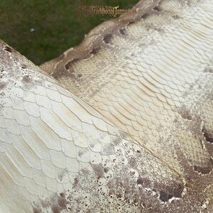Vera pelle di serpente per forniture artigianali, pelle esotica color crema naturale marrone, ideale per boutique.