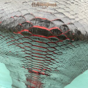 Puede incluir: Un primer plano de una piel de serpiente de cuero negro y verde azulado texturizada con un patr&oacute;n de escamas rojas prominente en el centro. El texto ExoTraditionalTannery est&aacute; impreso en una fuente decorativa en la parte superior.