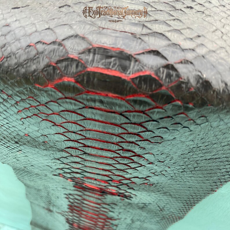 Puede incluir: Un primer plano de una piel de serpiente de cuero negro y verde azulado texturizada con un patr&oacute;n de escamas rojas prominente en el centro. El texto ExoTraditionalTannery est&aacute; impreso en una fuente decorativa en la parte superior.
