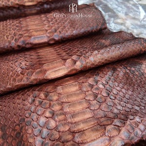 May include: A folded sheet of reddish-brown python skin leather with a distinct natural scale pattern. The surface features a glossy finish and a central row of larger, elongated scales. The text GoPythonHouse is printed in white at the top.