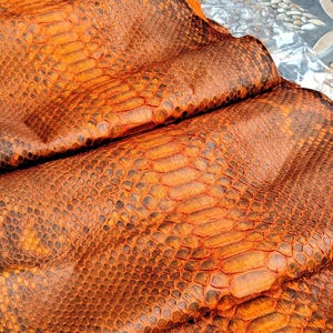 May include: A piece of orange and brown snakeskin leather with a distinct scale pattern. The material features a gradient of vibrant orange tones transitioning into darker brown edges. The text GoPythonHouse is printed on the surface.