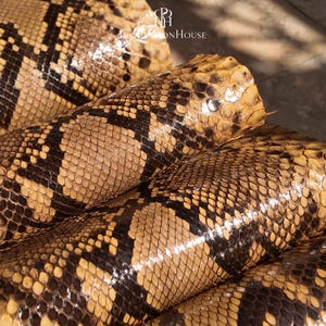 May include: A roll of natural snakeskin leather featuring a glossy finish and a distinct diamond-shaped pattern in shades of tan, beige, and dark brown. The surface displays a textured scale structure with the logo GoldPythonHouse visible at the top.