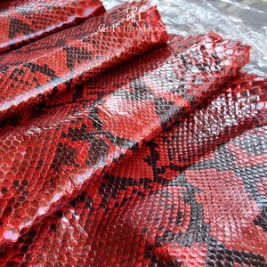 May include: A folded sheet of genuine python skin leather featuring a vibrant red and black scale pattern. The surface displays a natural, textured reptilian hide with a glossy finish. The text GoPythonHouse is printed in white at the top center.