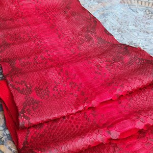 May include: A vibrant red snakeskin hide featuring a natural scale pattern with darker red and black accents. The material is folded in layers and displays the text GoPythonHouse with a logo at the top center of the textured surface.