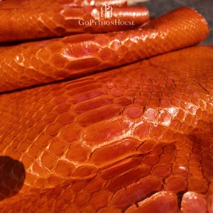 May include: A vibrant orange python skin leather sheet with a glossy, textured scale pattern. The surface features a repeating hexagonal scale structure with a reflective finish. The text GoPythonHouse is printed in white near the top edge.