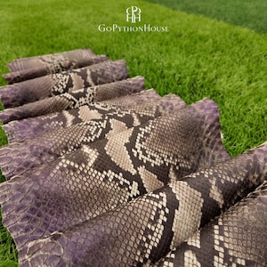 May include: A series of rolled sheets of genuine python skin featuring a natural scale pattern in shades of purple, grey, and black. The text GoPythonHouse is printed in white at the top center above a logo of the letters GPH.