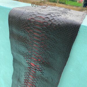 Puede incluir: Una pieza de piel de serpiente negra con un patr&oacute;n de escamas texturizado y color rojo vibrante visible entre las escamas individuales. El material est&aacute; sobre una superficie azul claro e incluye el texto ExoTraditionalTannery.