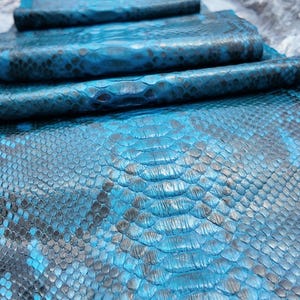 May include: A long, folded strip of genuine python skin dyed in a vibrant turquoise blue with natural dark grey scale patterns. The surface features a distinct, repeating diamond-shaped texture. The text Gopythonhouse is printed at the top.