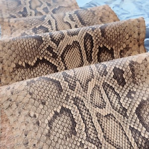 May include: A long, folded strip of natural python skin featuring a repeating dark brown and beige diamond-shaped scale pattern. The surface displays a textured, organic appearance with the text GoPythonHouse visible at the top of the image.