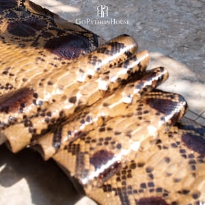 May include: A folded piece of natural python skin leather featuring a glossy finish and a distinct brown and tan diamond-shaped scale pattern. The surface displays the text GoPythonHouse with a logo above it, showcasing the texture of the scales.