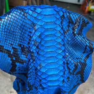 Royal Blue Snake Skin for Handmade Craft, Genuine Reptile Skin Ideal for Rare Fashion