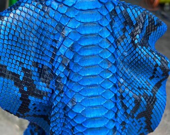 Piel de serpiente azul real para artesanía hecha a mano, piel de reptil auténtica ideal para moda exclusiva.