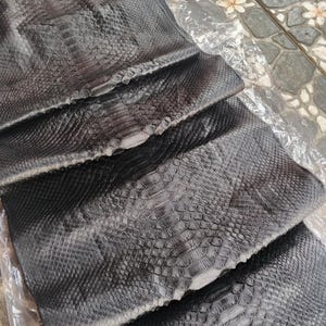 May include: A dark charcoal gray python skin hide with a distinct scale pattern, folded in layers and encased in clear plastic. The logo GoPythonHouse is printed in white at the top center of the material, showcasing a natural texture.