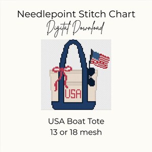 Needlepoint Groovy America direktnedladdningsbart PDF-mönster | Nybörjarvänligt | 13 och 18 mesh