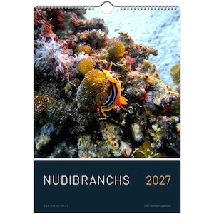 Könnte beinhalten: Ein Wandkalender für 2027 mit einer leuchtenden Nacktschnecke mit gelben, schwarzen und weißen Streifen auf einem strukturierten Korallenriff. Der untere Teil ist ein dunkelblaues Feld mit dem weißen Text NUDIBRANCHS und dem Jahr 2027 in Gelb.