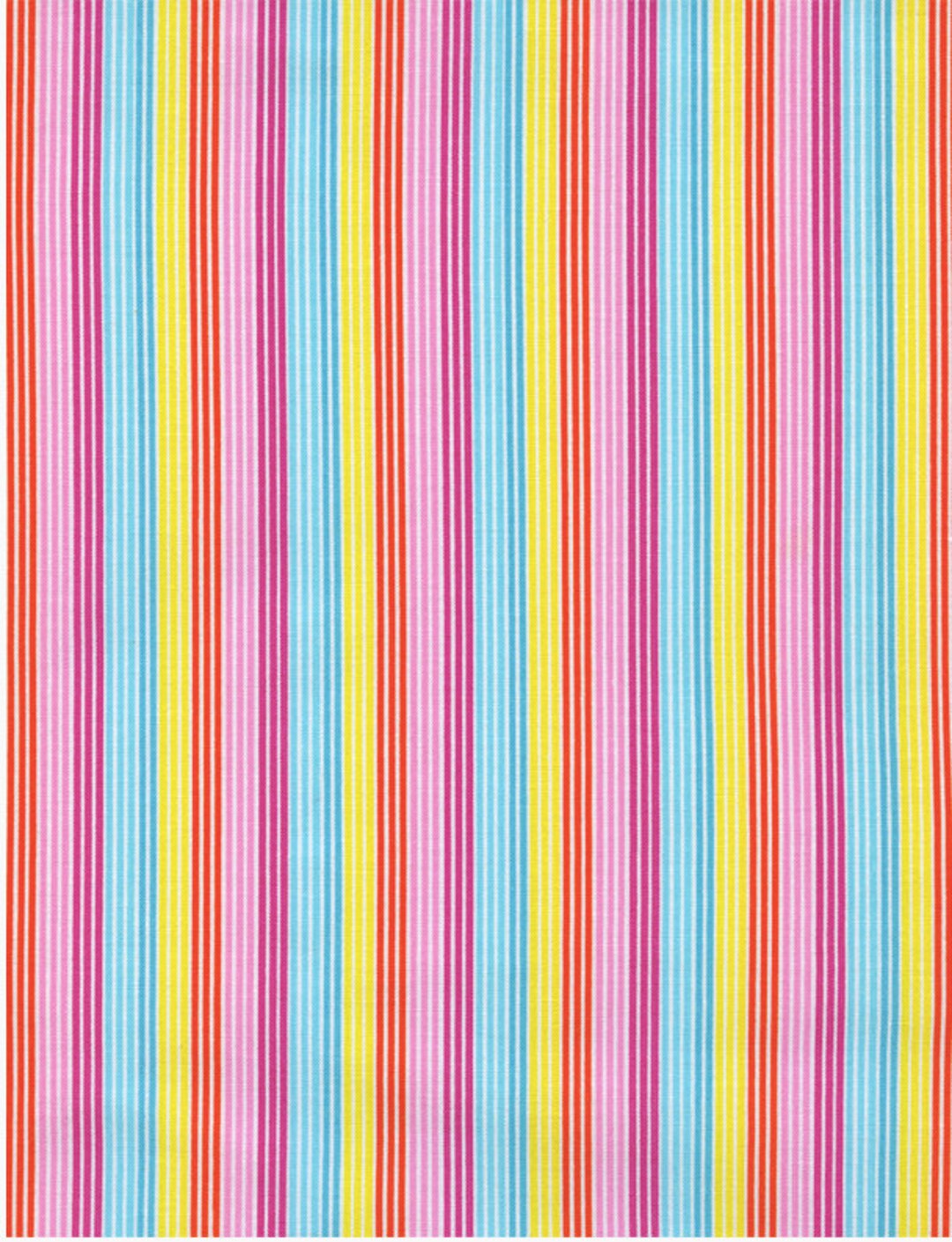 Fun in the Sun Stripe - Multi 1 Yard Cut, Timeless Treasures. - Etsy