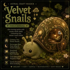 Pode incluir: Ilustração de um caracol verde caprichoso com uma concha de veludo. A concha é adornada com um quarto em miniatura com uma cadeira, uma lâmpada e uma janela. O texto "Velvet Snails" é exibido acima, com texto adicional.