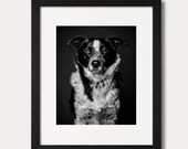 Custom Dog Portrait from Photo | Classic Pet Portrait | Black & White Dog Photography | Digital Download