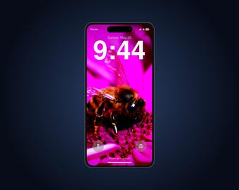 Bee Live Wallpaper for Phone | Animated Honeybee on Pink Flower | iPhone & Android Lock Screen Video Wallpaper