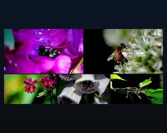 4K Desktop Wallpaper Pack | 5 Botanical Macro Photos | Nature Photography Digital Download | Garden Art