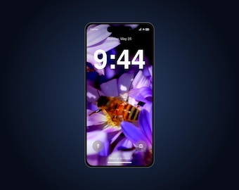 Honeybee Live Wallpaper for Phone | Animated Bee on Purple Daisies | iPhone & Android Lock Screen Video Wallpaper